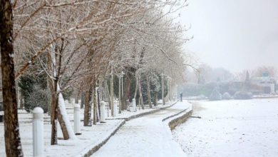 هواشناسی کشور