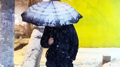 سازمان هواشناسی