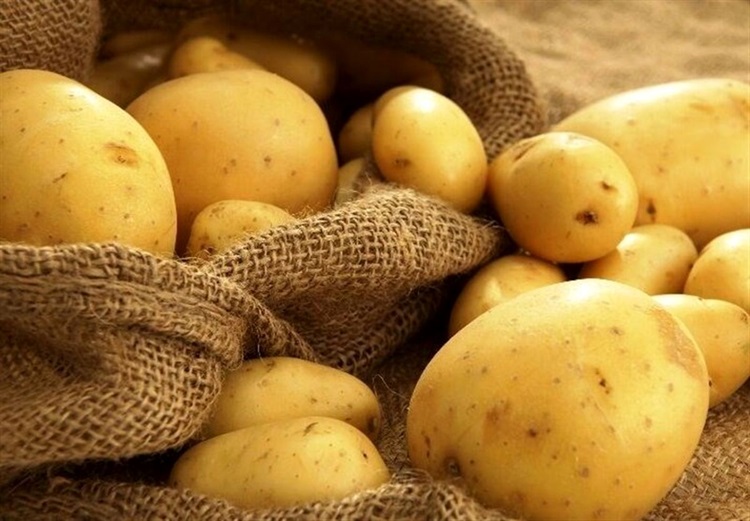 سیب‌زمینی بهاره