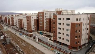 مسکن حمایتی