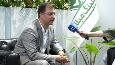 مهدی امینی، نایب رئیس هلدینگ میلانا