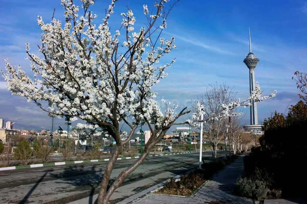 هواشناسی تهران