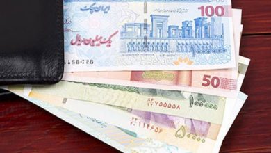 کارکنان دولت