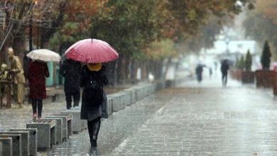 سازمان هواشناسی