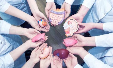 اهدای عضو