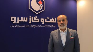 حجت-نظری،-مدیرعامل-شرکت-نفت-و-گاز-سرو