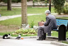 حقوق اردیبهشت