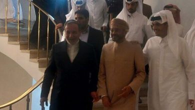 دیدار سه‌جانبه عراقچی