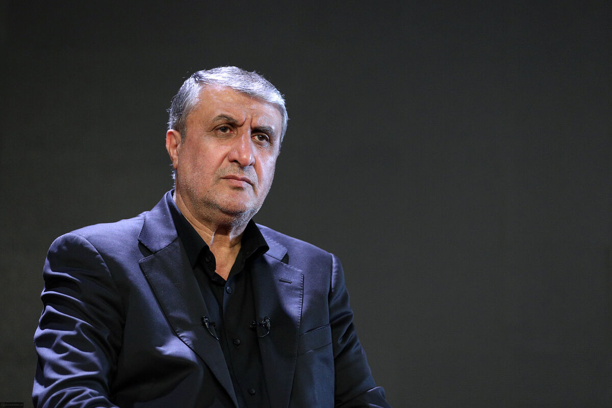 رئیس سازمان انرژی اتمی ایران