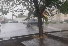 رگبار و رعدوبرق