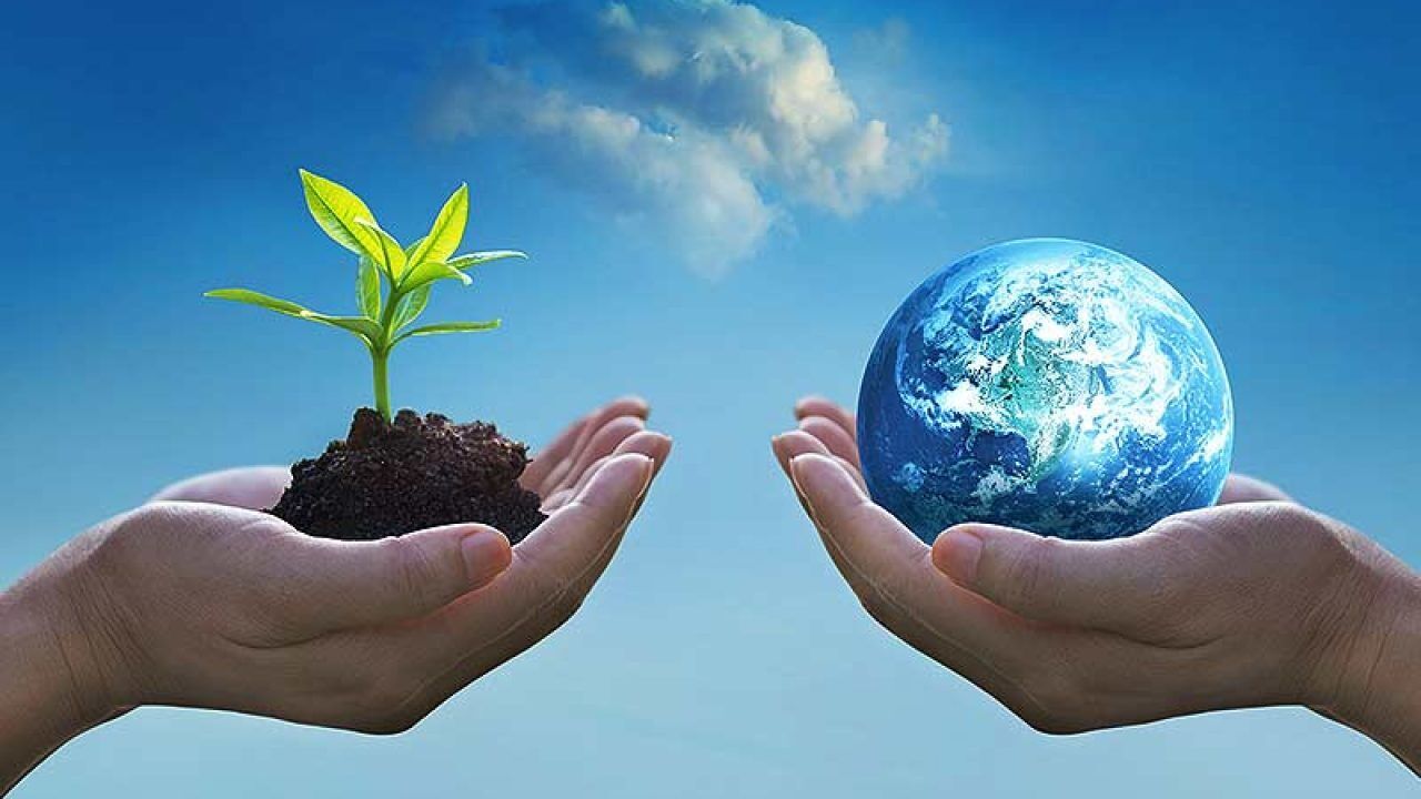 زیست‌بومِ سودآور؛تولید سبز در منظر سیاست و سرمایه