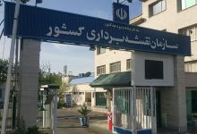 نقشه‌برداری ملی