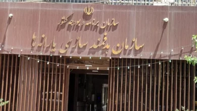 سازمان هدفمندی یارانه ها