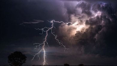 سازمان هواشناسی