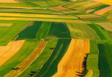 سند رسمی زمین کشاورزی
