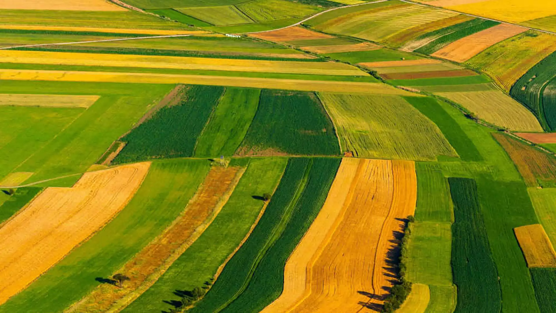 سند رسمی زمین کشاورزی