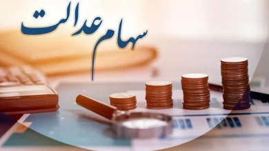 سود سهام عدالت 
