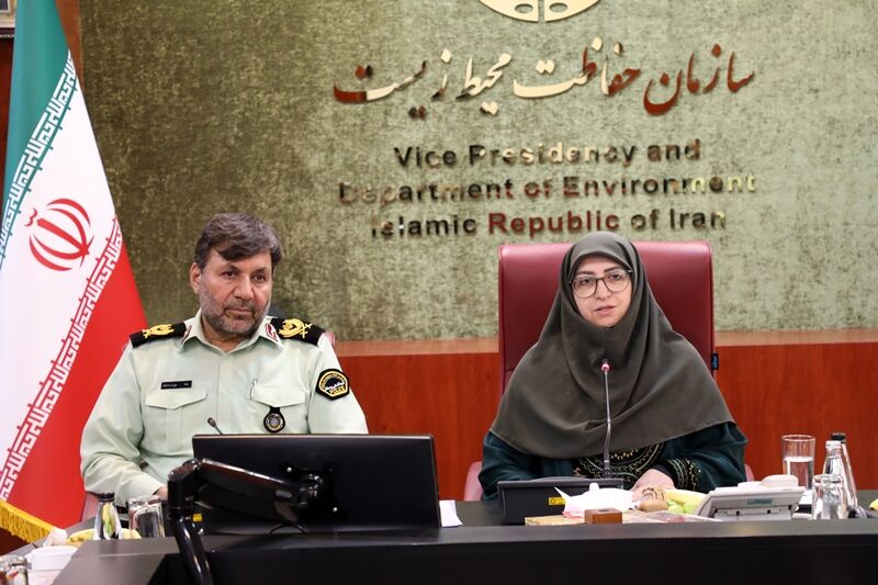 شینا انصاری