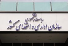 عملکرد در دولت
