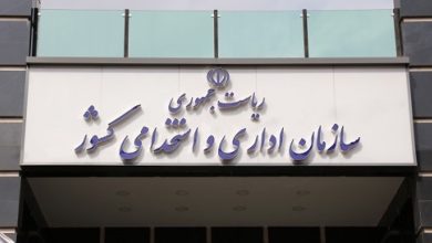 عملکرد در دولت