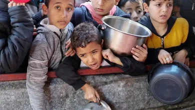 قطع غذا در غزه