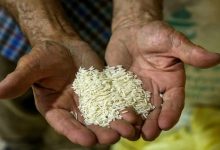 قیمت برنج