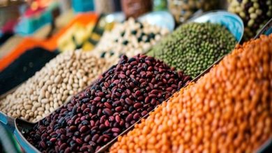 قیمت لوبیا چیتی