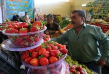 قیمت میوه