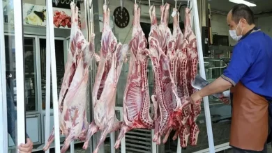 قیمت گوشت