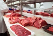 قیمت گوشت