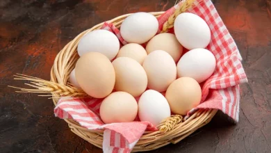 متفورمین تخم‌گذاری مرغ‌ها