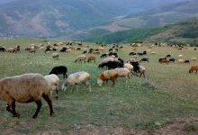 مراتع کشور