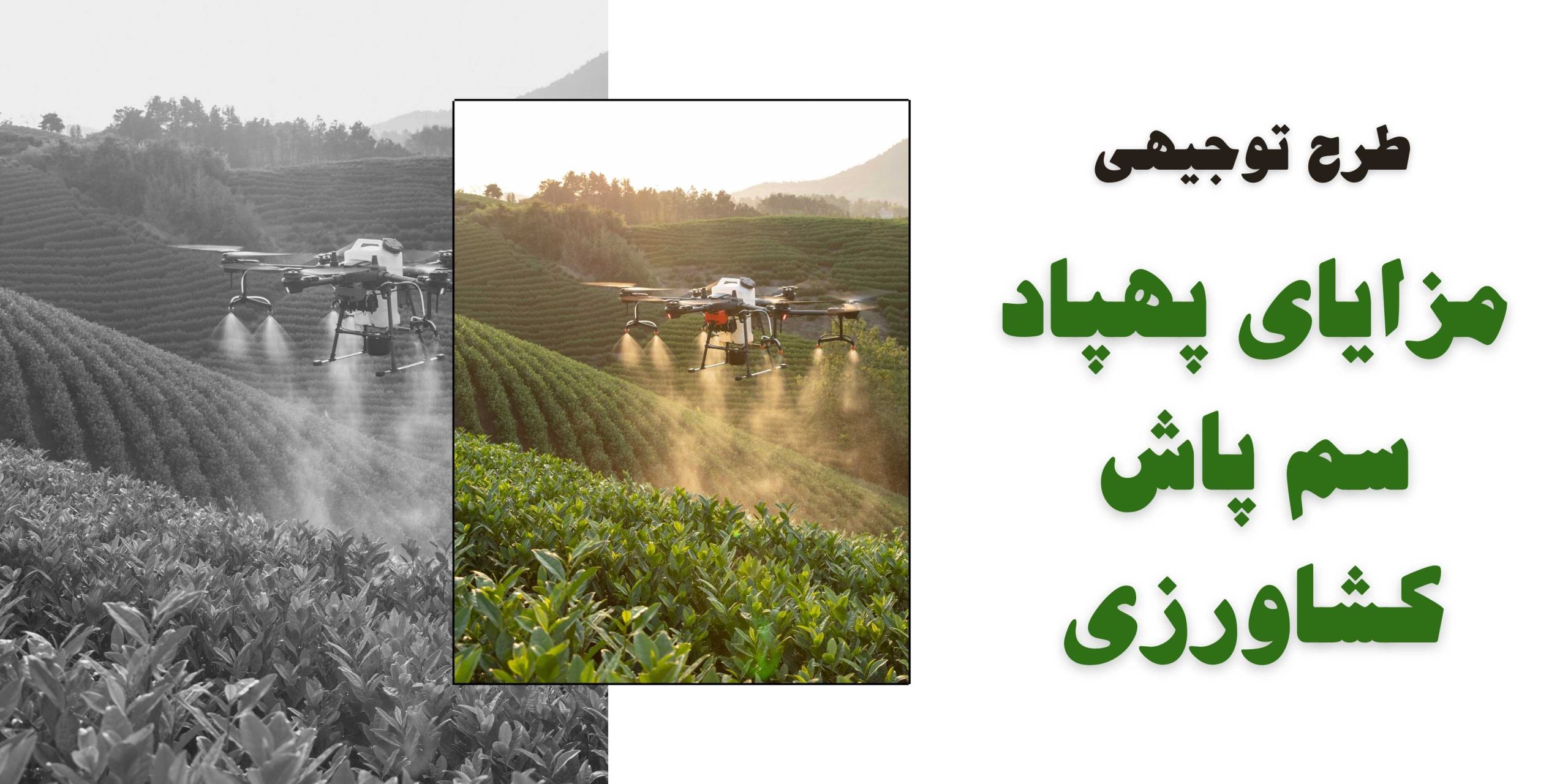 مزایای پهپاد سم پاش در طرح توجیهی