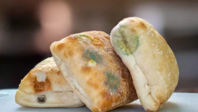 مواد غذایی کپک زده