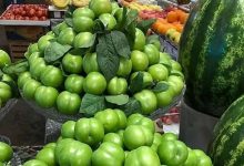 میادین تره‌بار