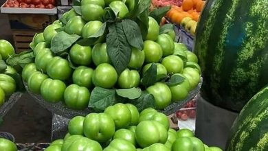 میادین تره‌بار