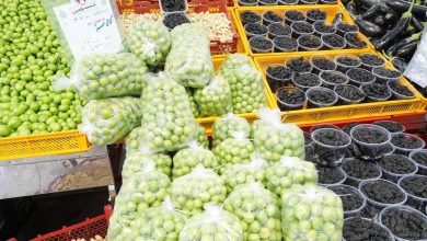 میادین میوه‌ و تره‌بار
