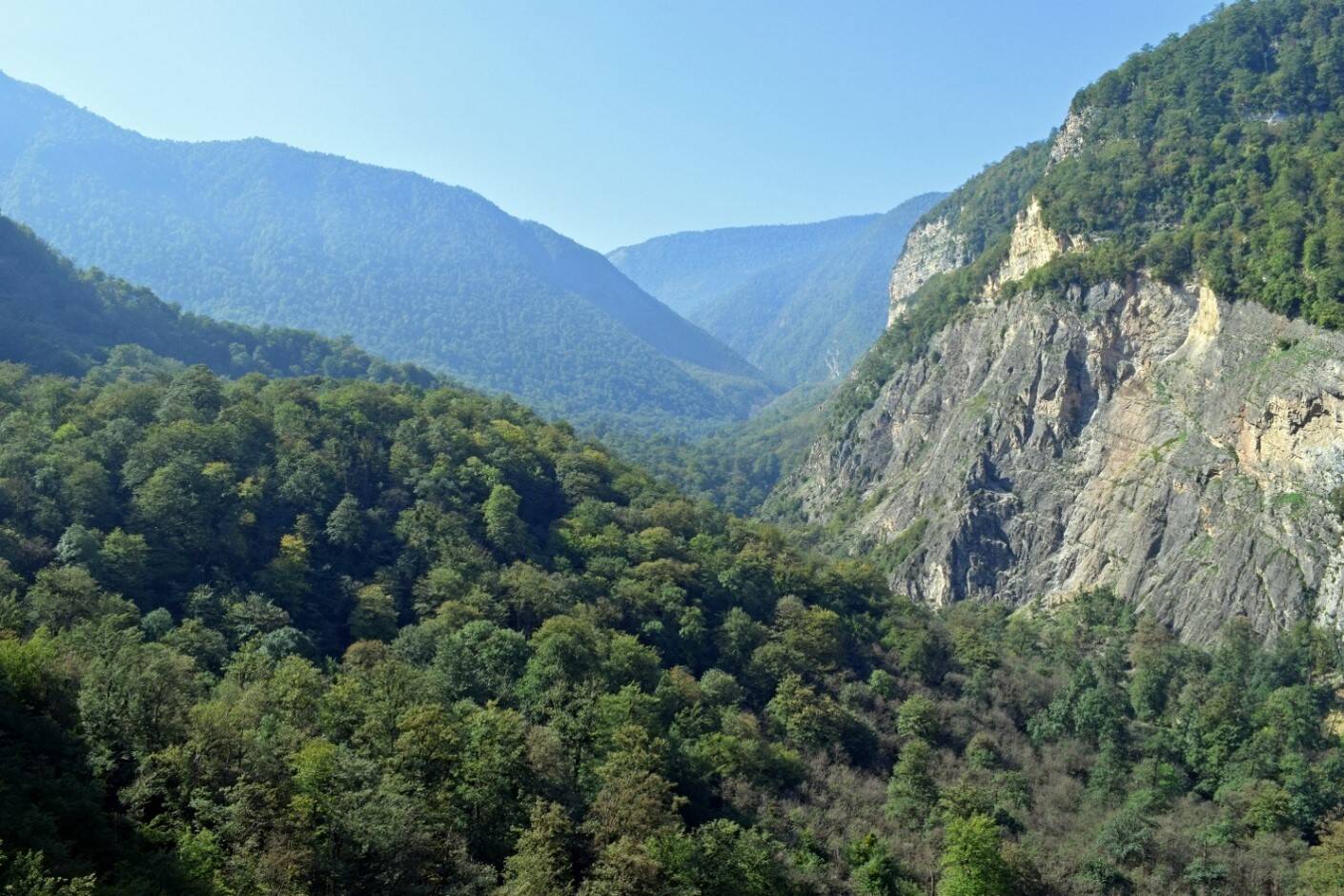 میراث زنده زمین