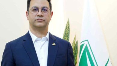 هلدینگ میلانا