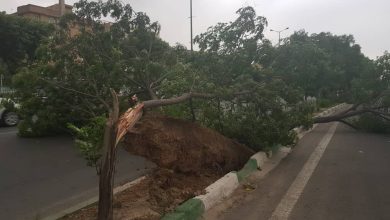 هواشناسی تهران