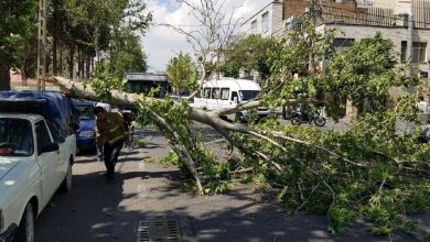 هواشناسی تهران وزش باد شدید