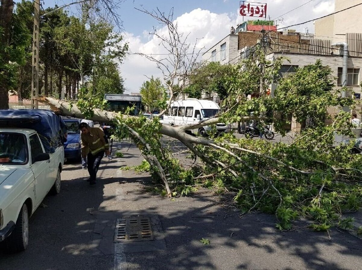 هواشناسی تهران وزش باد شدید