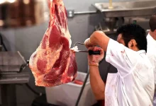 واردات گوشت قرمز