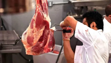 واردات گوشت قرمز