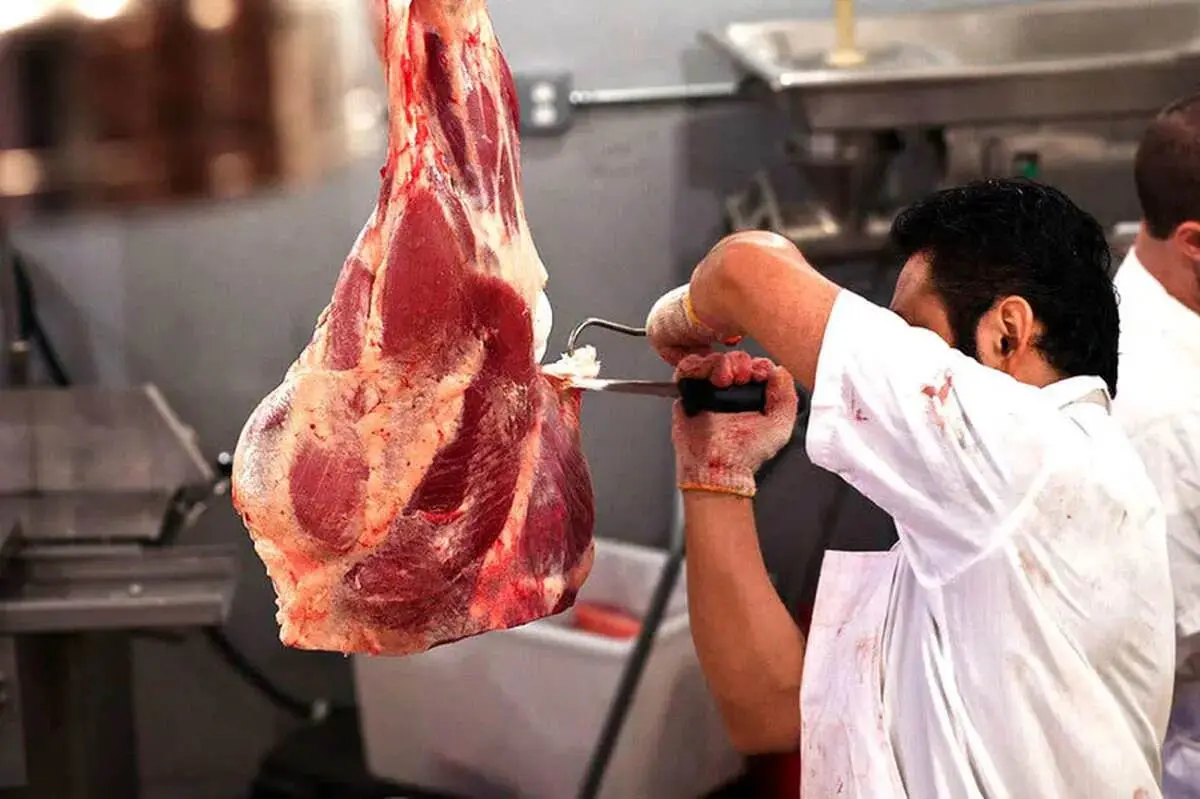 واردات گوشت قرمز