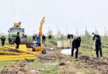 پتروشیمی میانکاله
