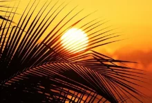 گرمترین نقاط جهان