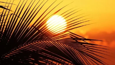 گرمترین نقاط جهان