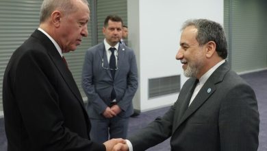 اردوغان عراقچی