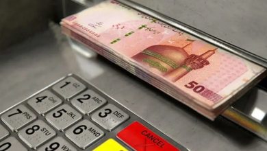 ایام بارداری